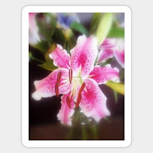 Stargazer Lilies #2 Sticker